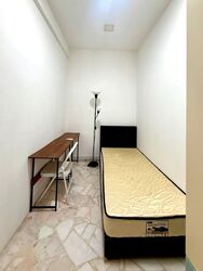 Ah Soo Walk (D19), Semi-Detached #601023021